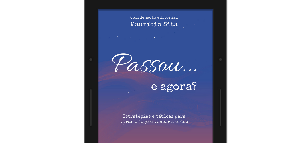 Passou e agora?: estratégias e táticas para virar o jogo e vencer a crise